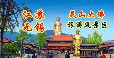 屌嫩逼视频江苏无锡灵山大佛旅游风景区