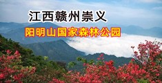 欧美鸡巴网